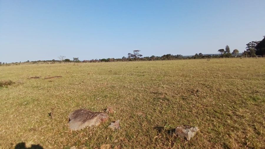 Commercial Property for Sale in Bathurst Eastern Cape